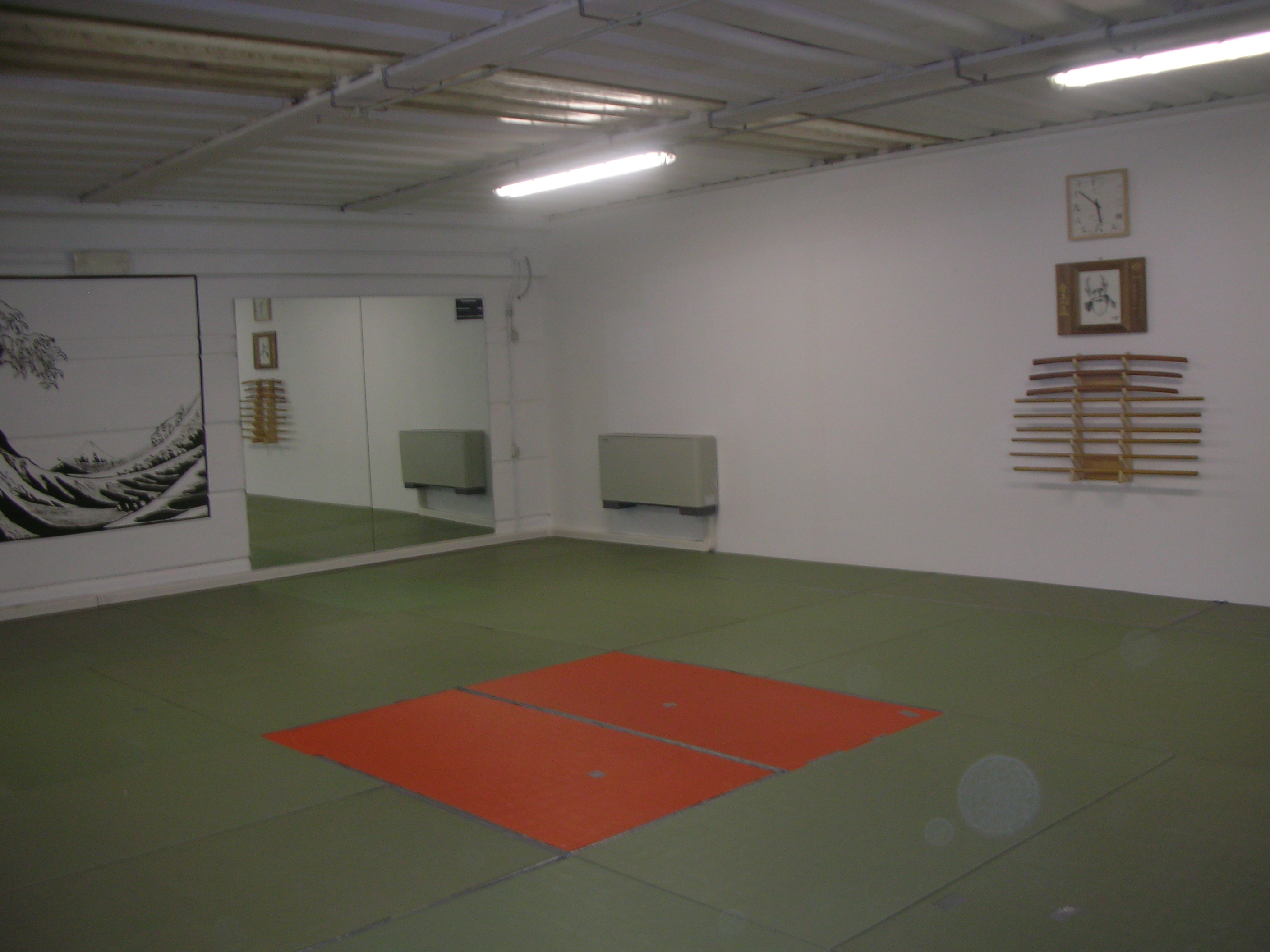 Lezione nel dojo